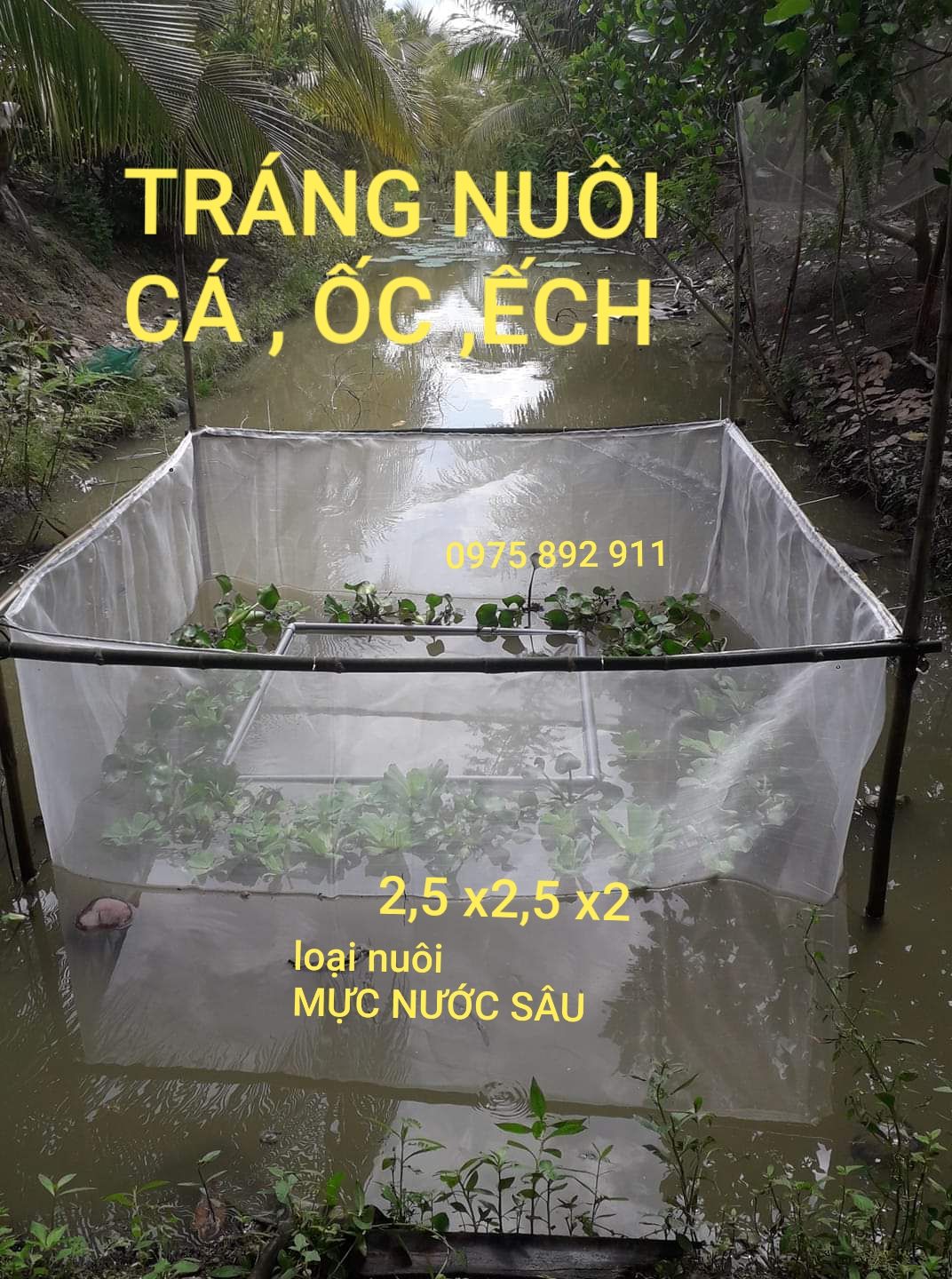TRÁNG NUÔI CÁ , TRÊ , CHUÔI HOA , ỐC ẾCH