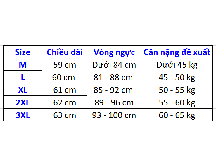 Áo thun nữ 2 màu kiểu cánh dơi A01