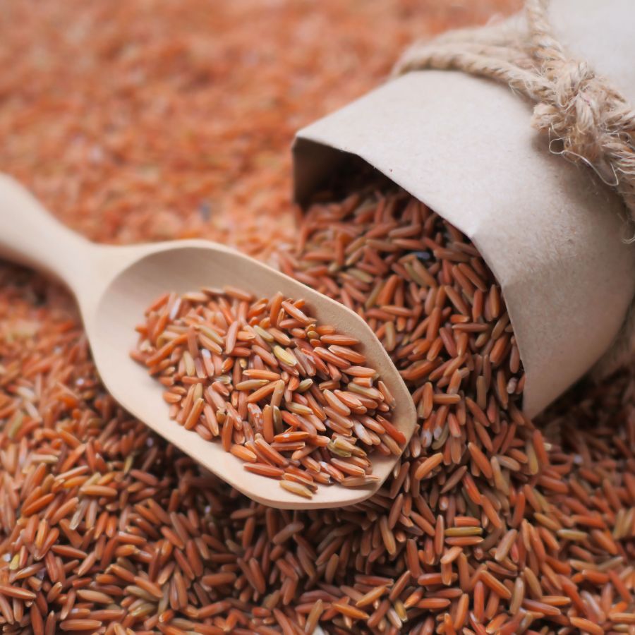 Gạo lứt tím thảo dược hữu cơ Tấn Đạt chuẩn USDA (không hộp, gạo rất dẻo, nhiều anthocyanin, vị đặc trưng)