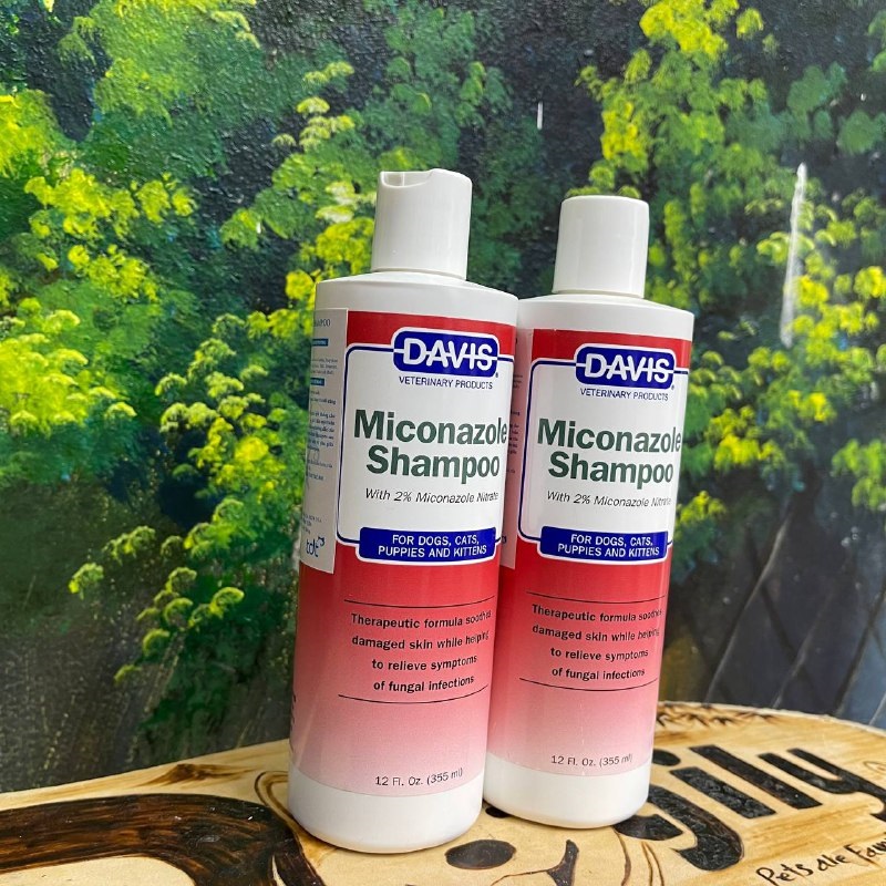 Sữa tắm nấm viêm da cho Chó Mèo Davis Miconazole