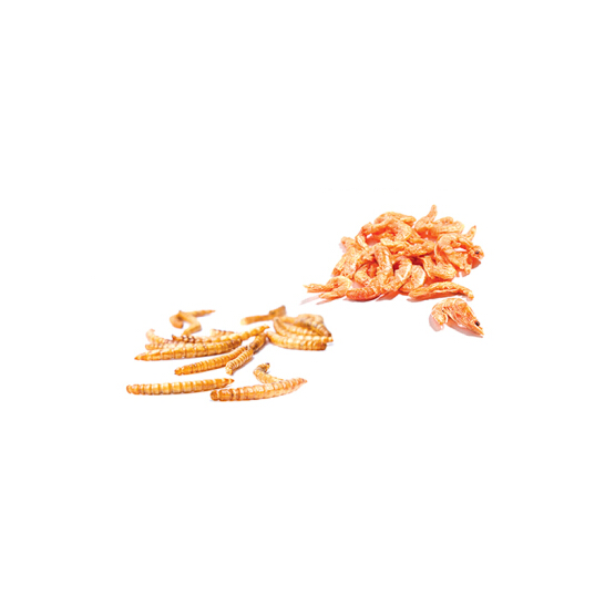 [HCM]thức ăn vặt cho hamster - Sâu Khô & Tôm Khô
