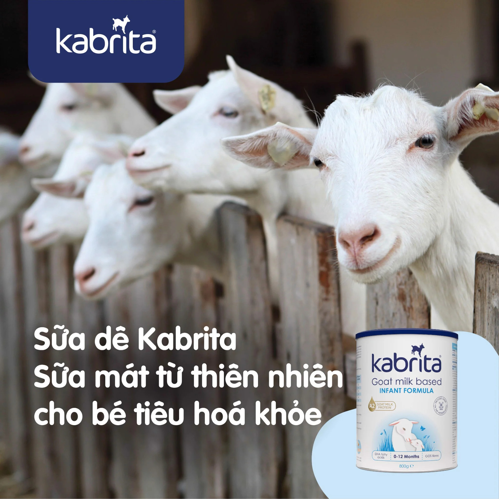 [Date 2.2025] Sữa dê Kabrita số 1 (0-12 tháng) - Lon 800g