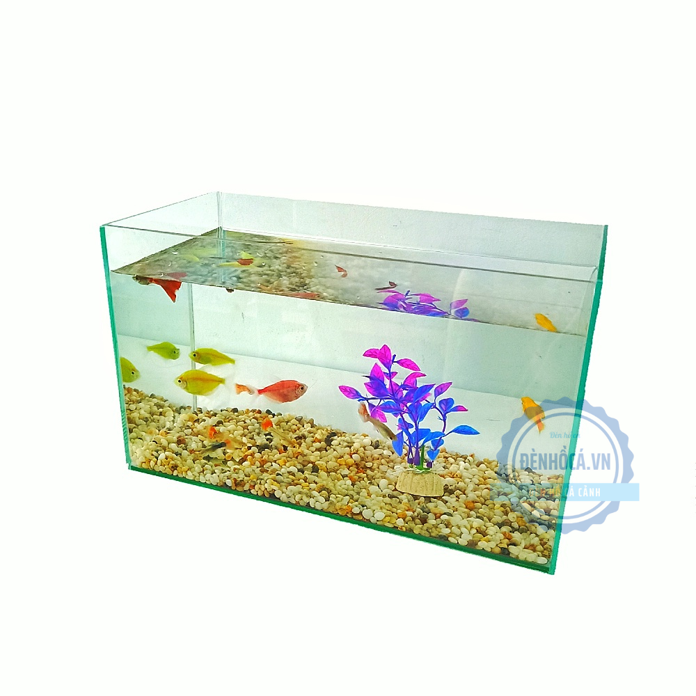 Hồ cá mini [30cm x 15cm x 18cm] để bàn tặng phụ kiện