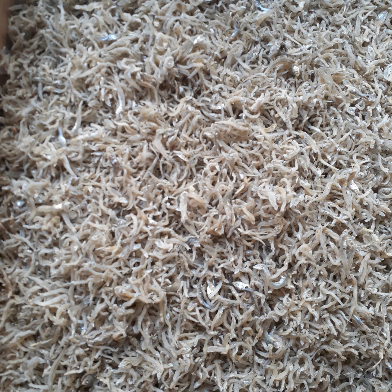 cá cơm 500gram - khô cá cơm - cá cơm mờm sữa