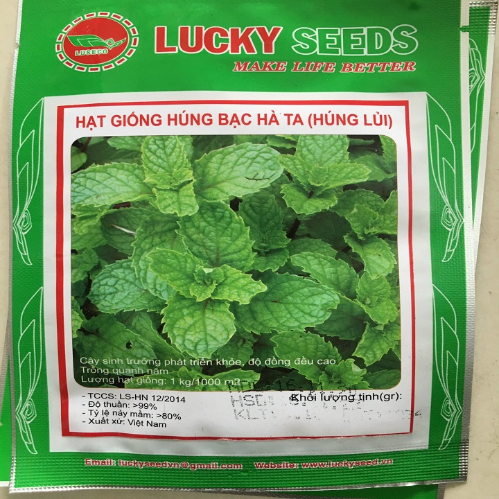 Hạt giống rau Húng Bạc Hà Ta (Húng Lủi)