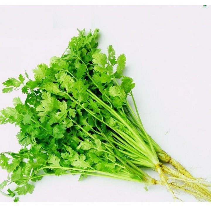HẠT RAU NGÒ RÍ - GÓI 20 GRAM