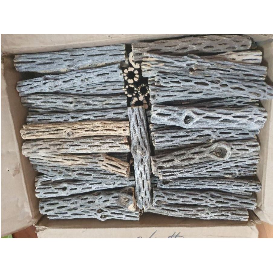 Lũa cholla bổ dung dưỡng chất cho bể tép, trang trí bể cá
