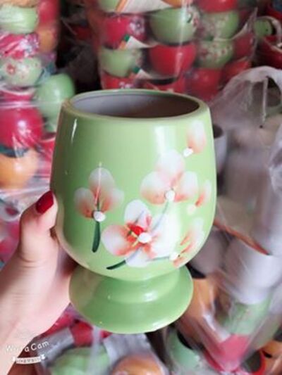 Chậu cây tiểu cảnh