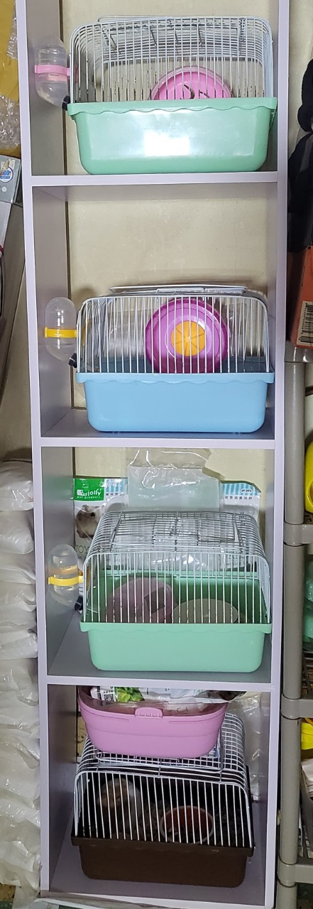 [COMBO] Lồng full phụ kiện Hamster dành cho người mới nuôi