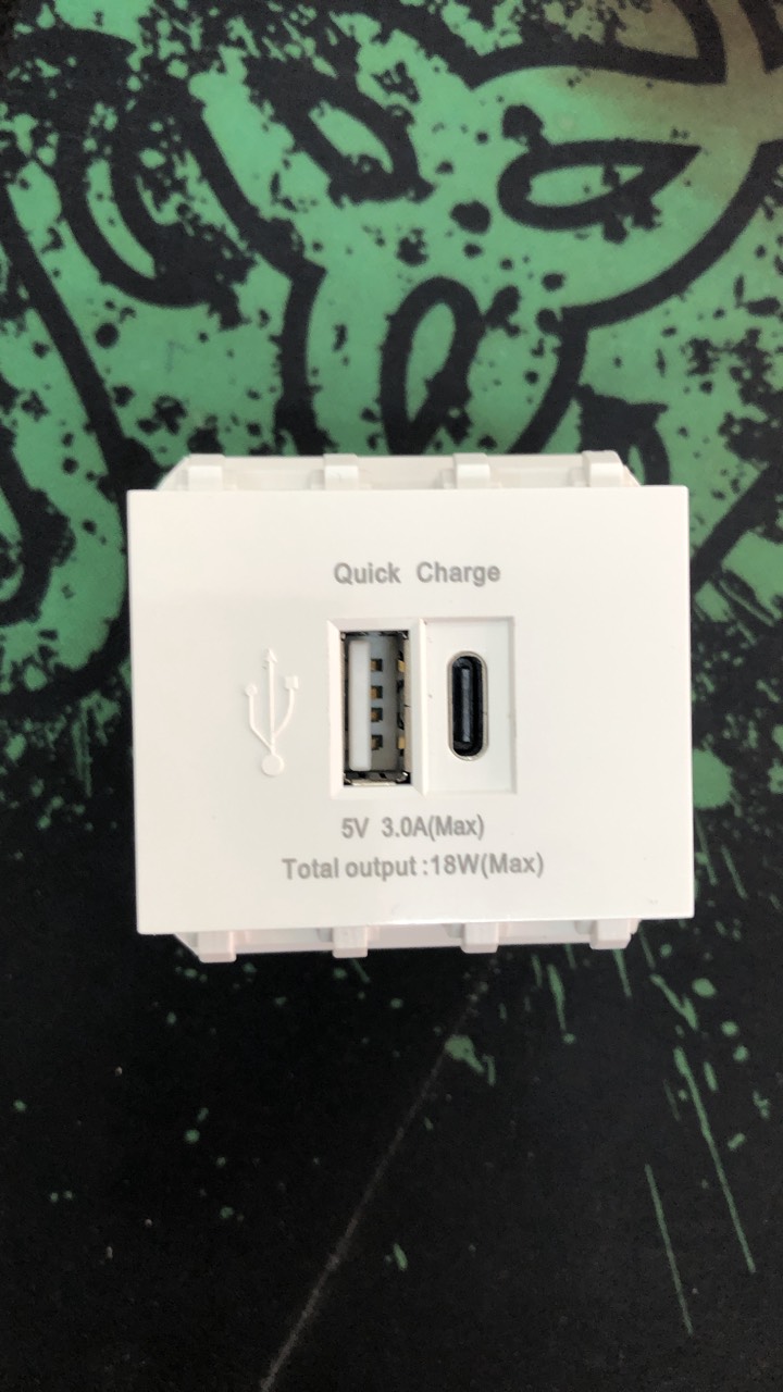 Nhân ổ cắm sạc Usb typec type C lắp vừa mặt Panasonic Wide