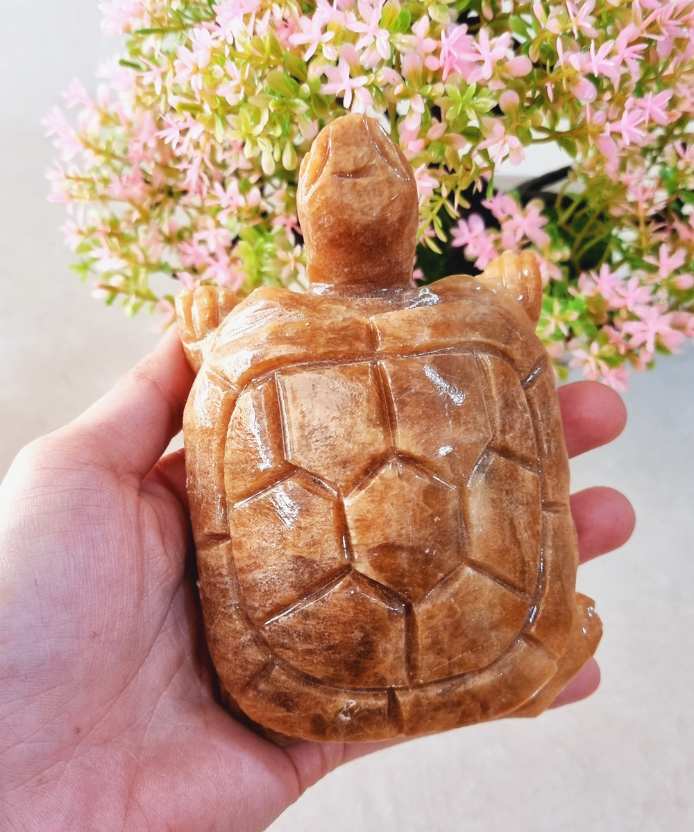 [HCM](Chọn màu) Cụ Rùa bằng đá tự nhiên size 12cm