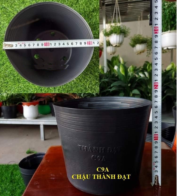 Chậu nhựa mềm đen thành đạt nhiều size