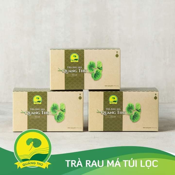 3 Trà rau má Quảng Thọ , ĐẶC SẢN HUẾ ( 3 hộp x 30 túi lọc x 2g )