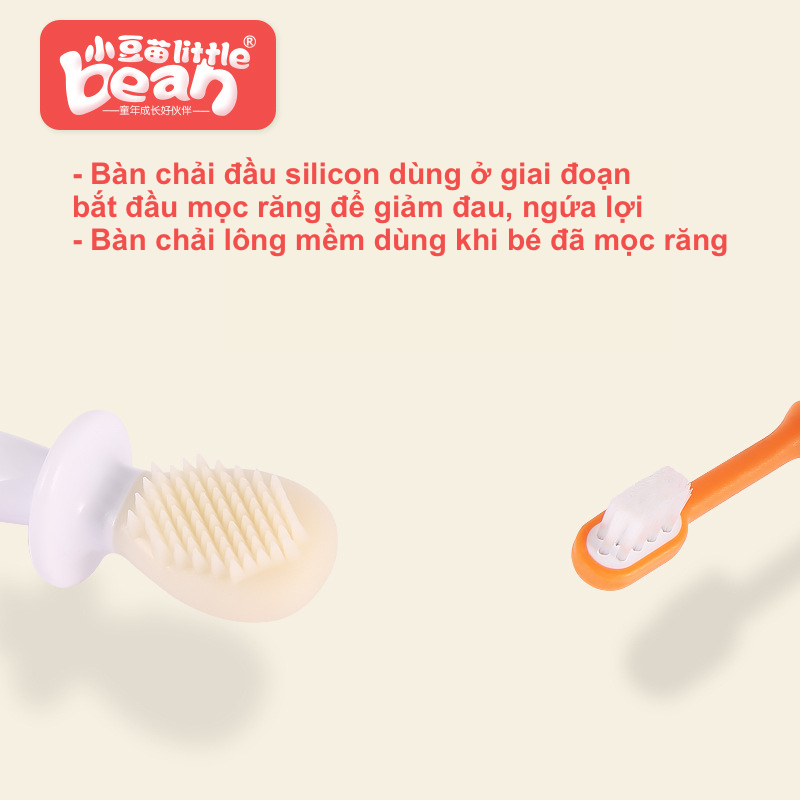 Bộ bàn chải tập đánh răng cho bé Little Bean