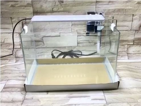 Bể kính đúc nhập khẩu bo cong cạnh mài vi tính kích thước 3523cm | hồ đúc | bể kính nuôi cá