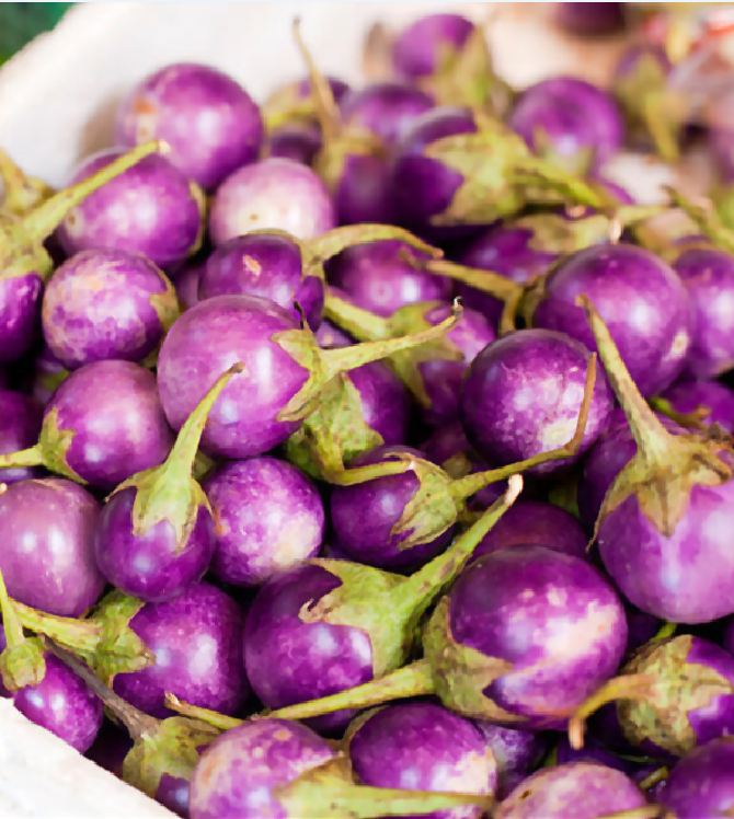 Hạt Giống Cà Pháo Tím F1 - 0,5gram/gói