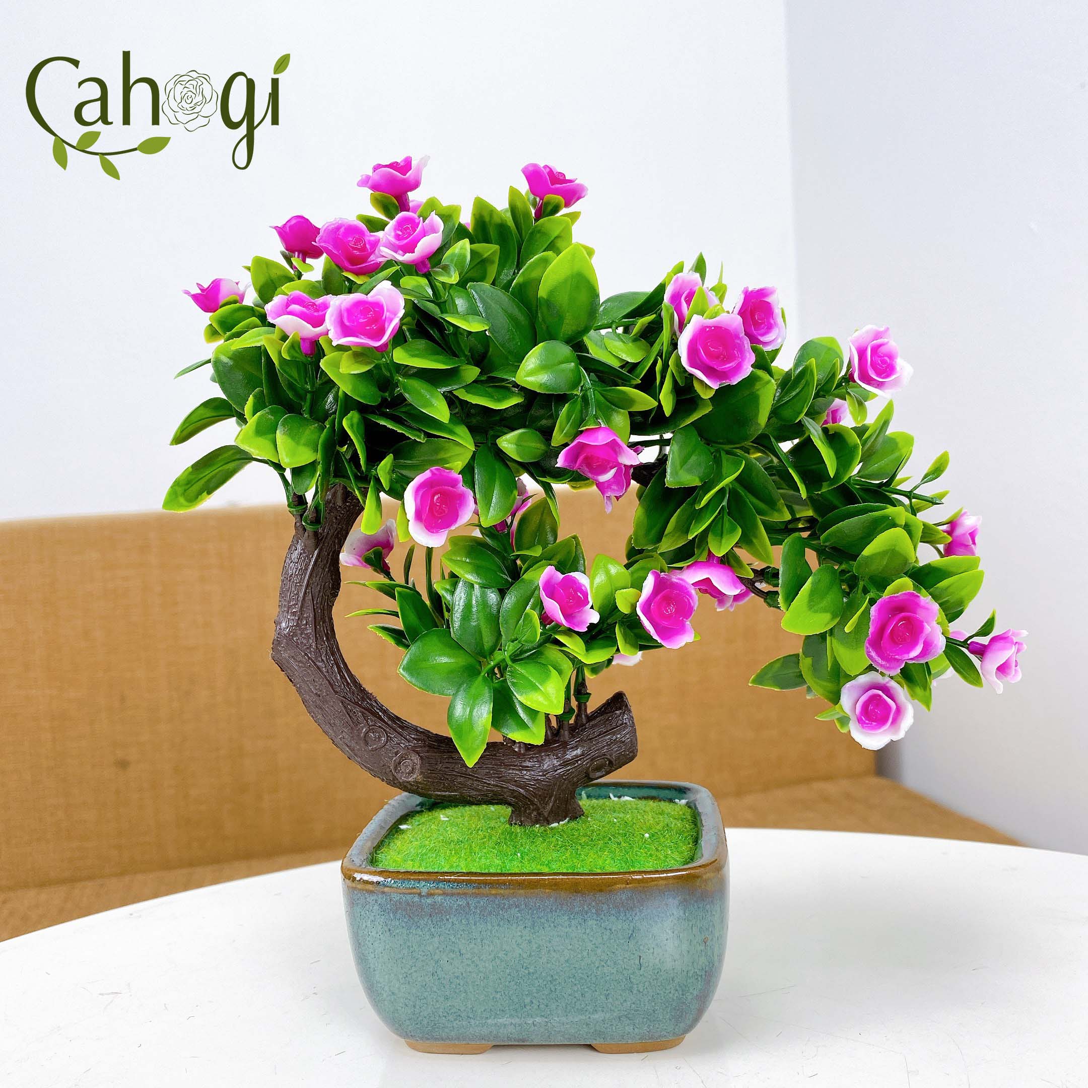 Chậu Cây Giả Để Bàn Chậu Hoa Bonsai