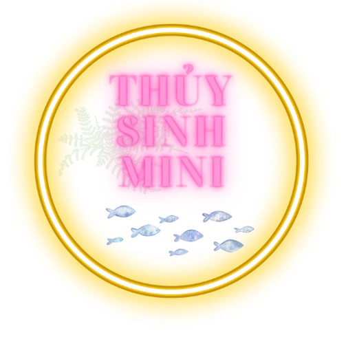 5 ốc helena ăn ốc hại bể thủy sinh