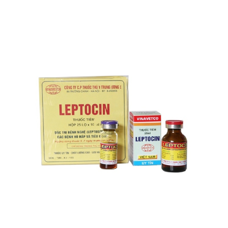 Leptocin 20ml dùng cho bệnh nghệ (xoắn khuẩn) trâu bò lợn dê cừu