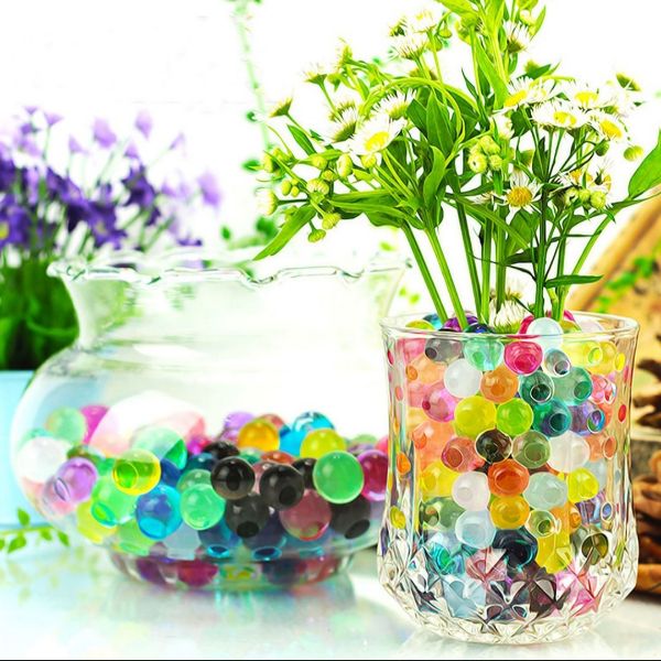 Hạt Trồng Cây Thay Đất