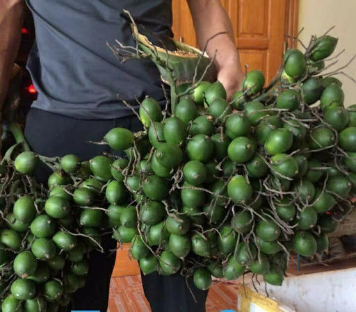1 KG QUẢ CAU TƯƠI MIỀN BẮC