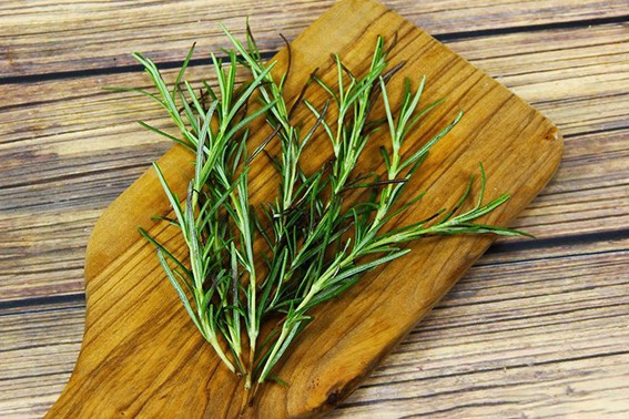 Lá hương thảo tươi (Lá Rosemary)