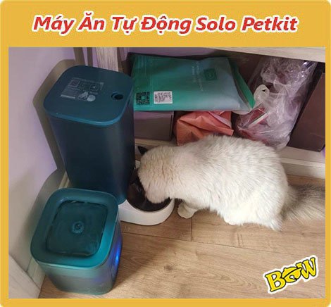 Máy cho ăn tự động Petkit Solo
