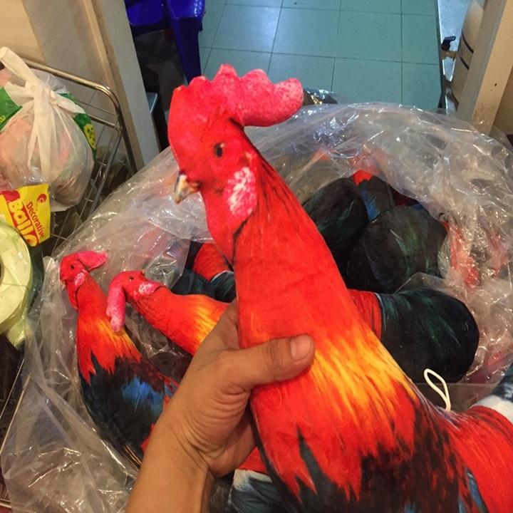 [HCM]Gà vải nòi có dây cột dùng để tập luyện