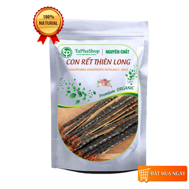 Con rết khô ( ngô công ) 1 con - Tấn Phát