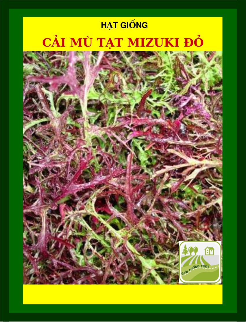 Hạt giống cải mù tạt mizuki 10 loại - 10gram