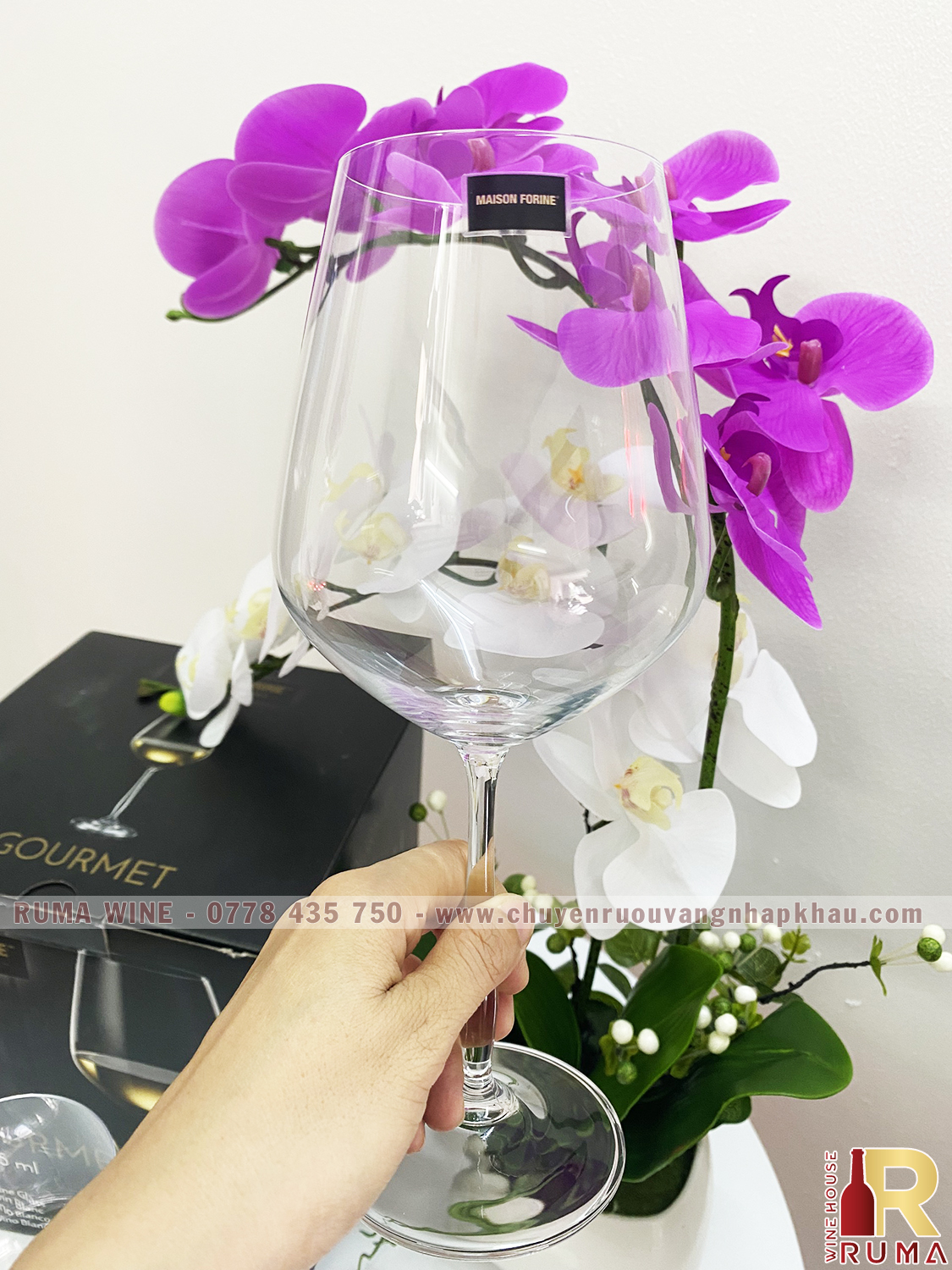 Bộ 4 ly pha lê Tiệp uống vang Gourmet 715 ml