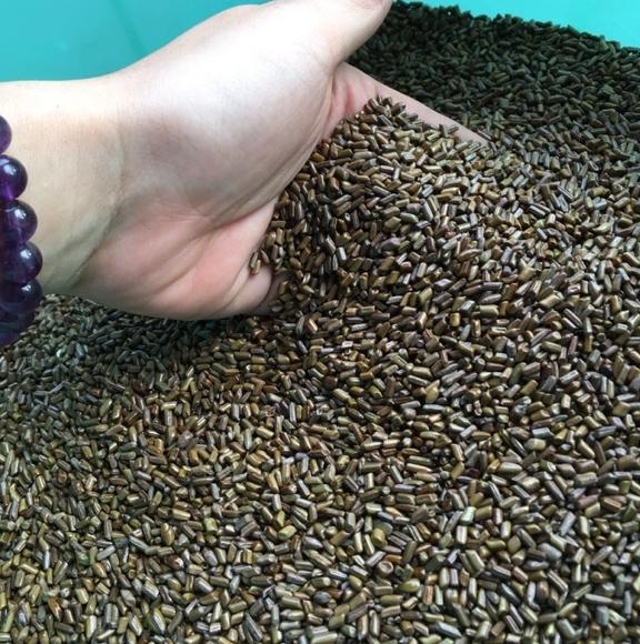 combo 2kg hạt muồng muồng