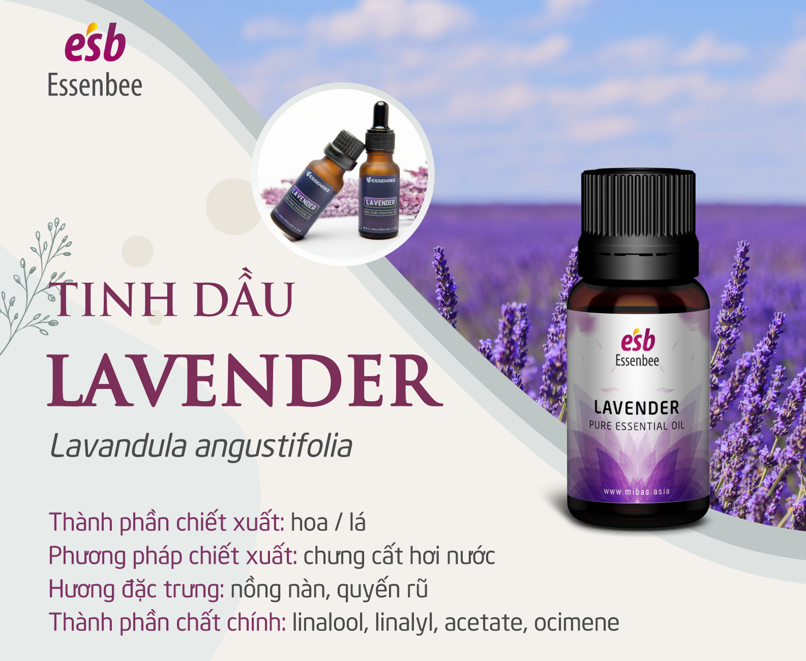 Tinh dầu Essenbee Lavender