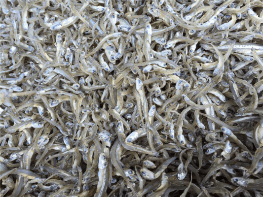 500gr Cá cơm khô xuất khẩu