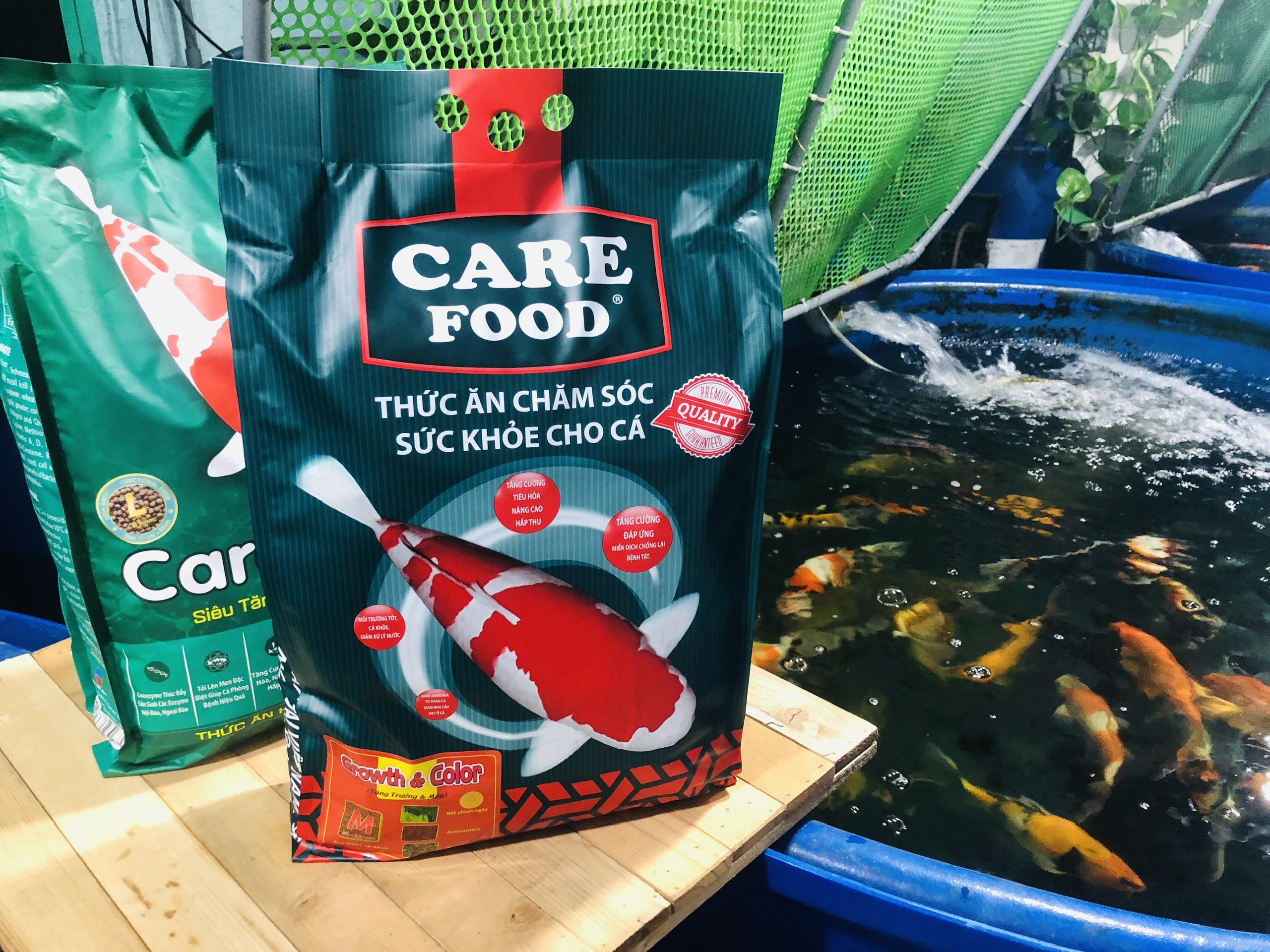 Thức ăn cá koi carefood growth & color hỗ trợ tăng cường màu sắc và tăng trưởng khỏe mạnh cho cá koi