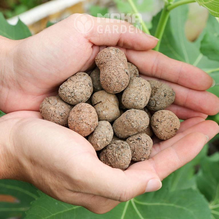 Viên đất nung SFARM (Sỏi nhẹ)