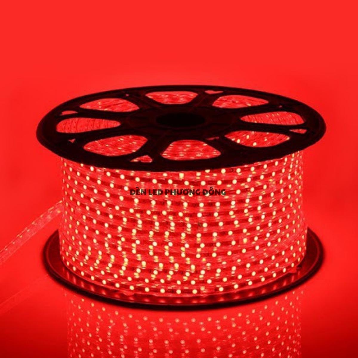 Cuộn 100m LED Dây đôi 2835 - 2 hàng bóng siêu sáng