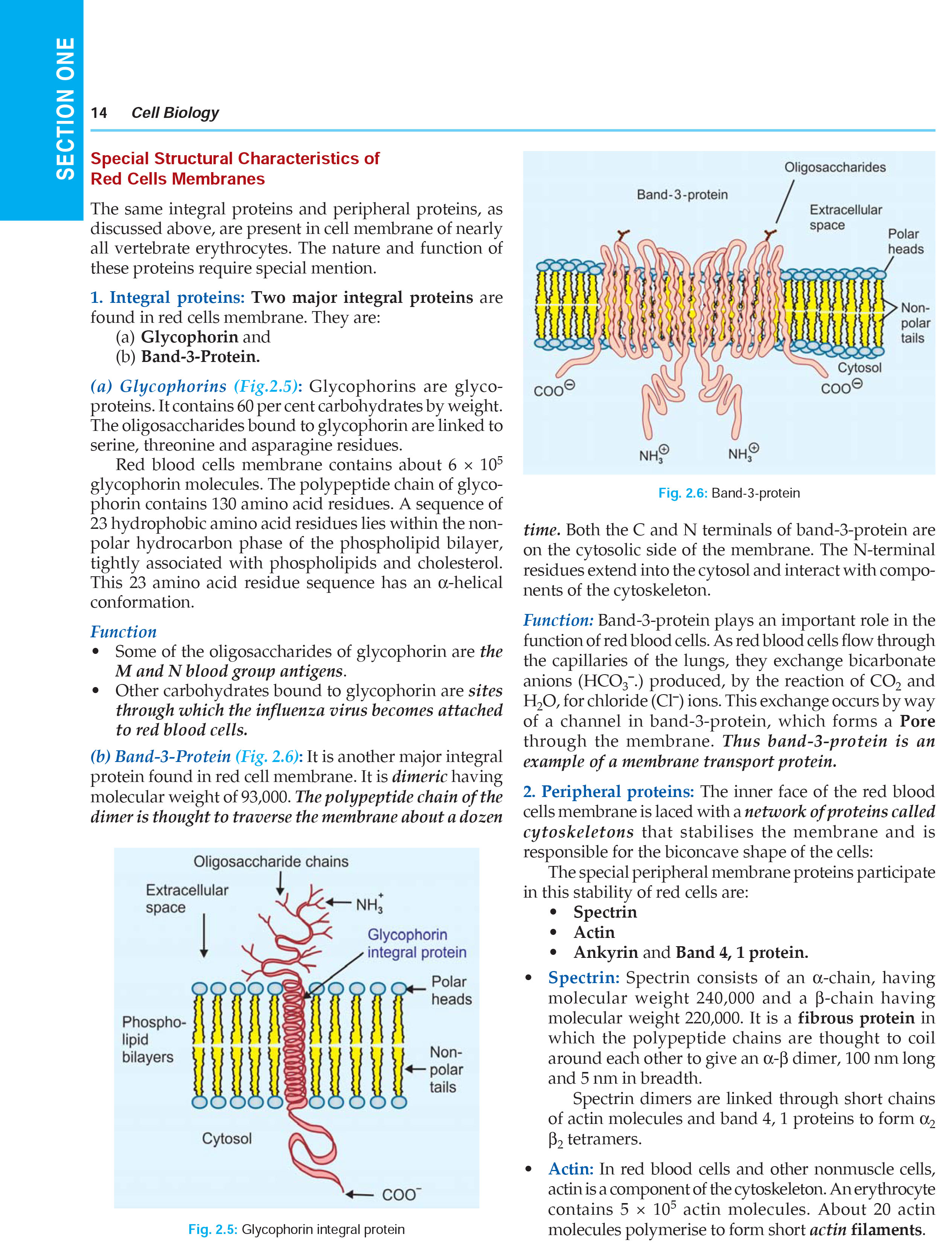 Textbook of Medical Biochemistry