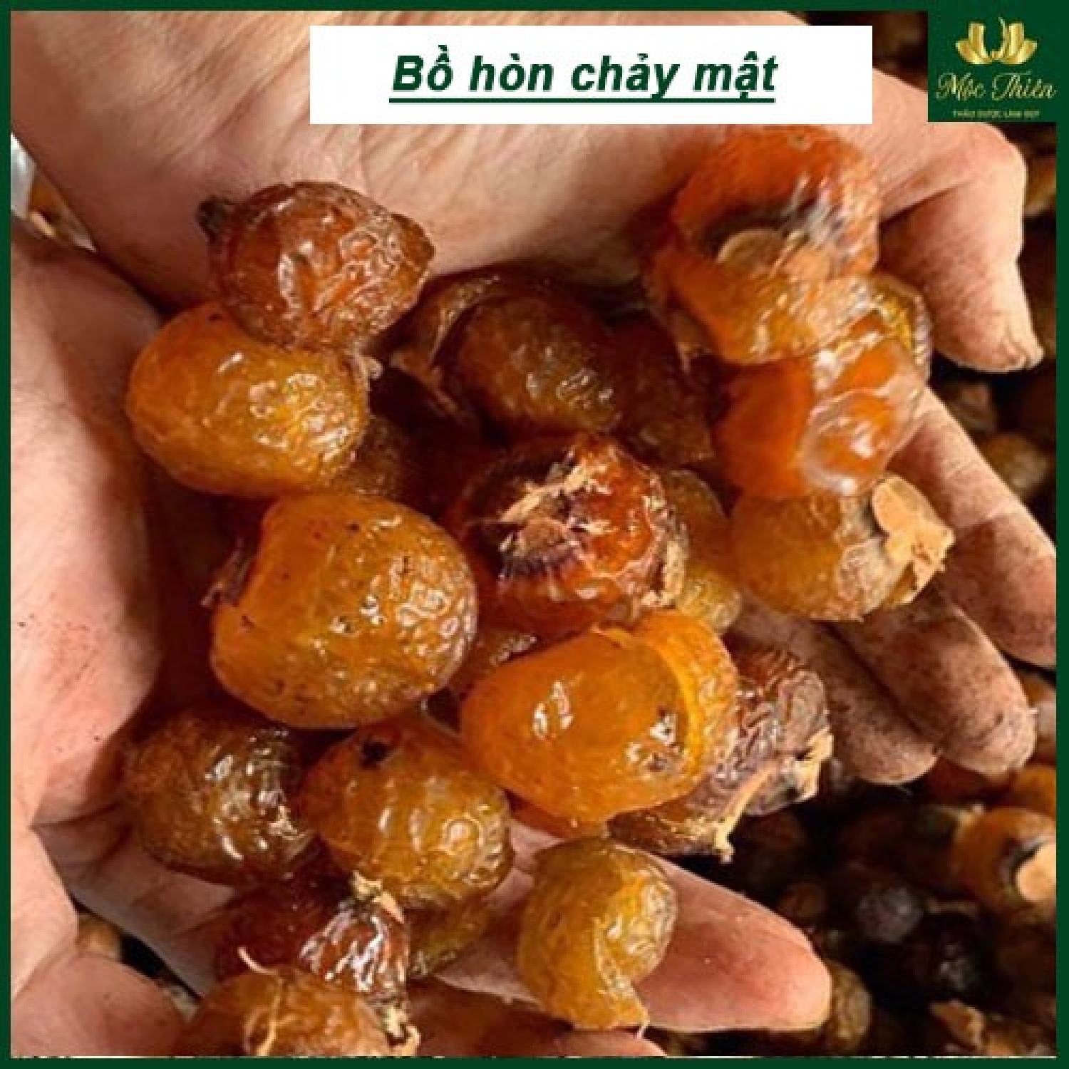 Bồ hòn chảy mật tách hạt 500g