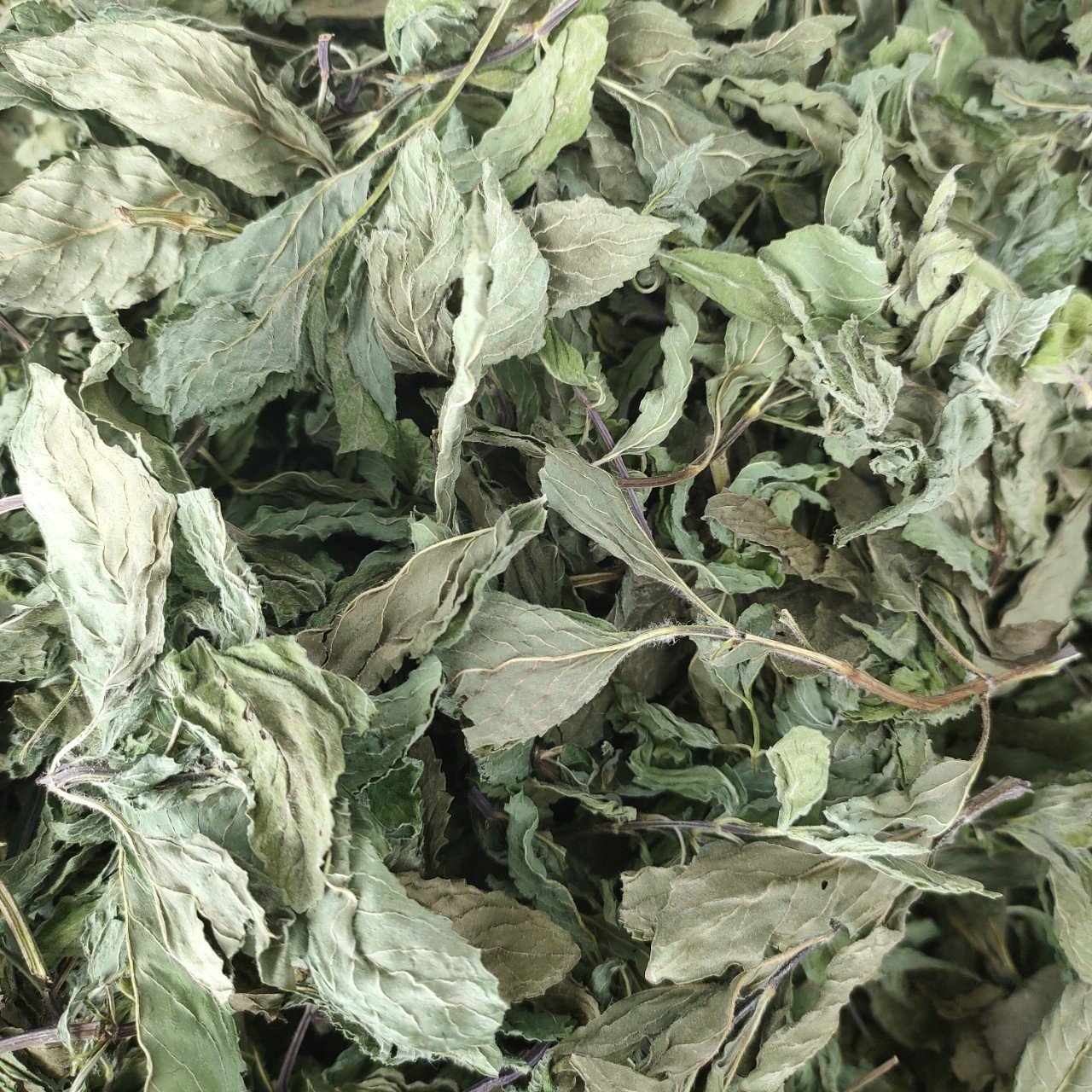Bạc Hà Sấy Khô (Trà Bạc Hà) Lon 100Gram