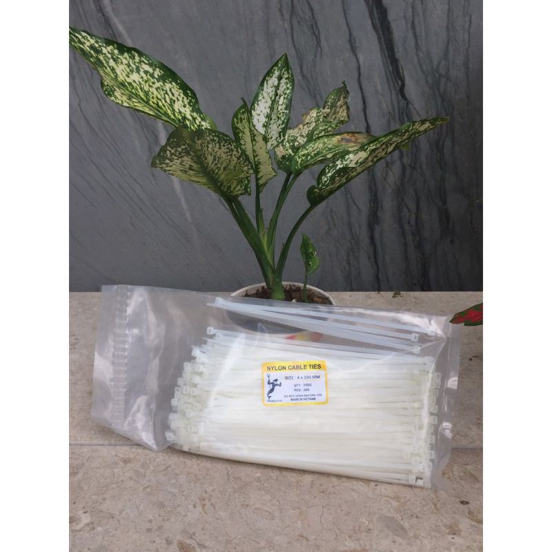 Dây thít nhựa đủ cỡ