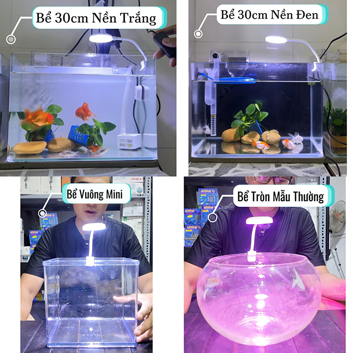 Jeneca D1s đèn led kẹp mini cho bể cá cảnh, thủy sinh (3 chế độ màu)
