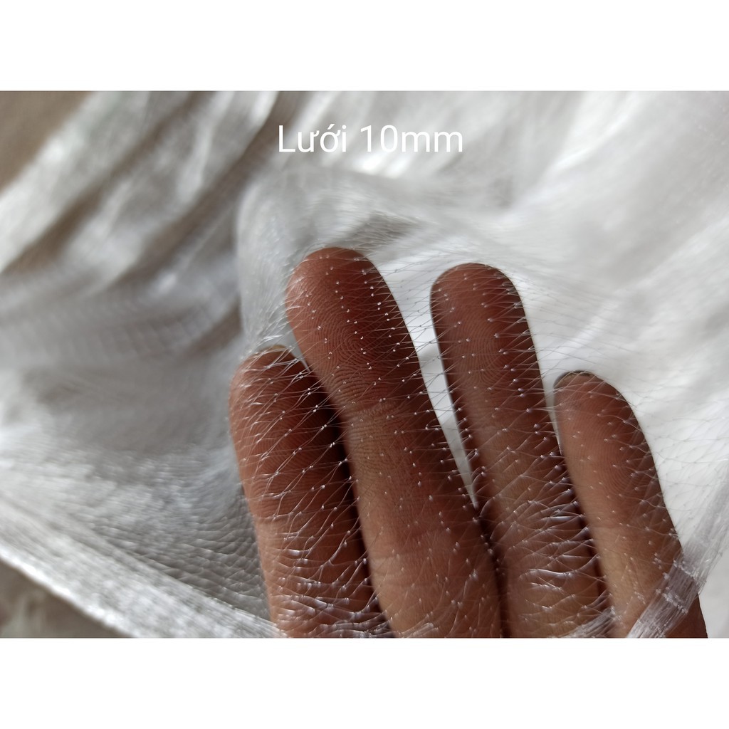 Lưới bắt Cá Lòng Tong (10mm, 12mm,15mm) dài 20m