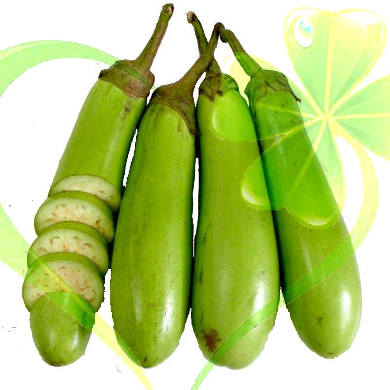 Hạt giống cà xanh mỡ dài - gói 1 gram