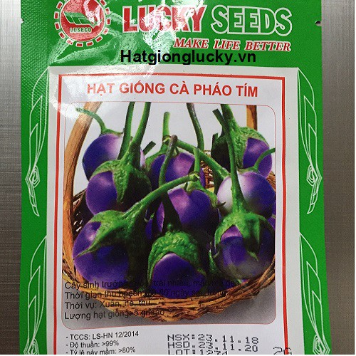 Hạt giống Cà Pháo Tím
