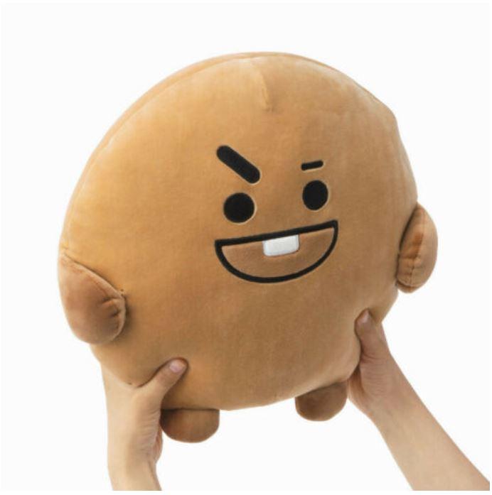 Gối ôm BT21 Pong Pong Plush mới