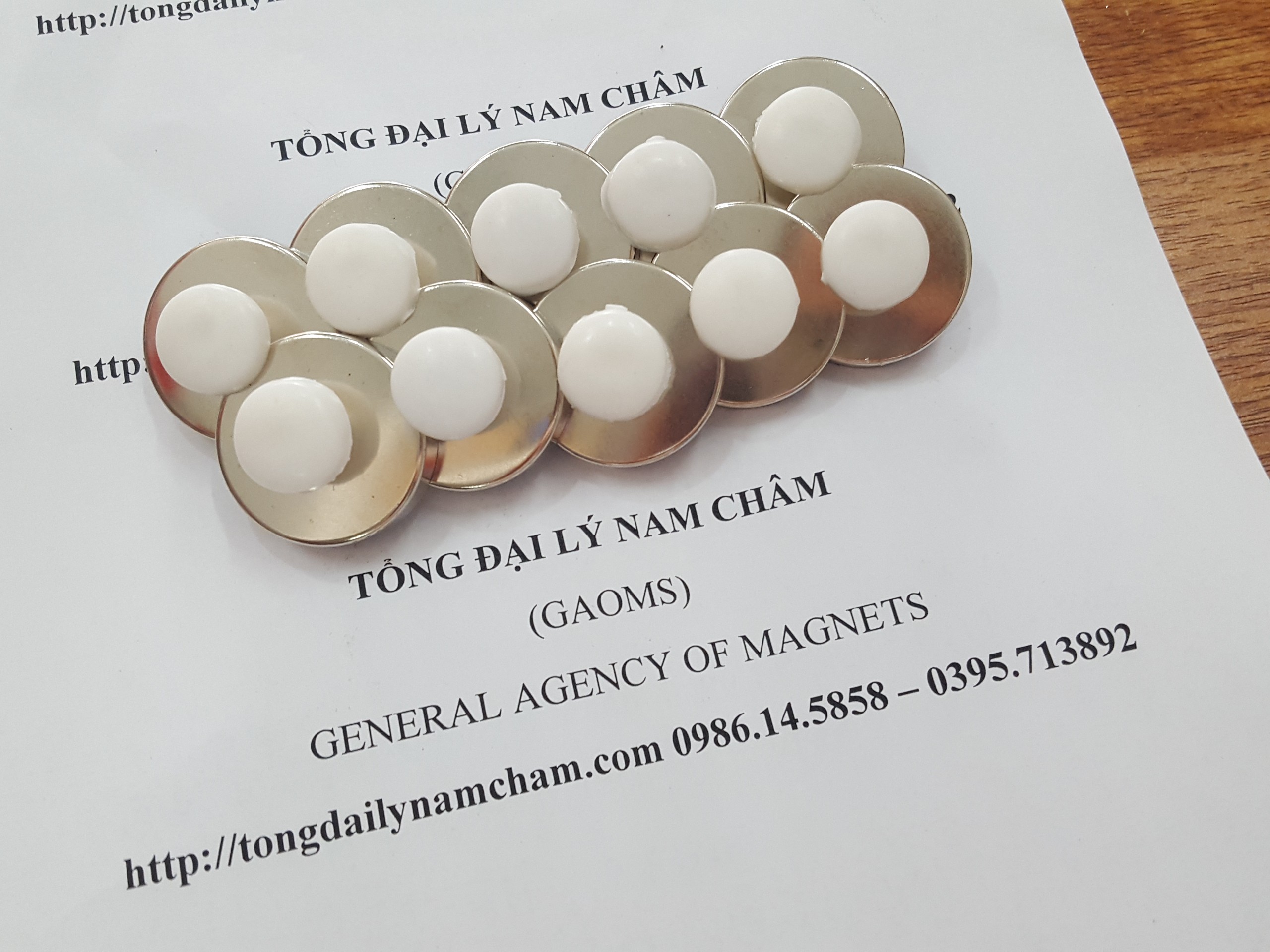 Nam châm đính bảng D32, có núm trắng- 10 cái