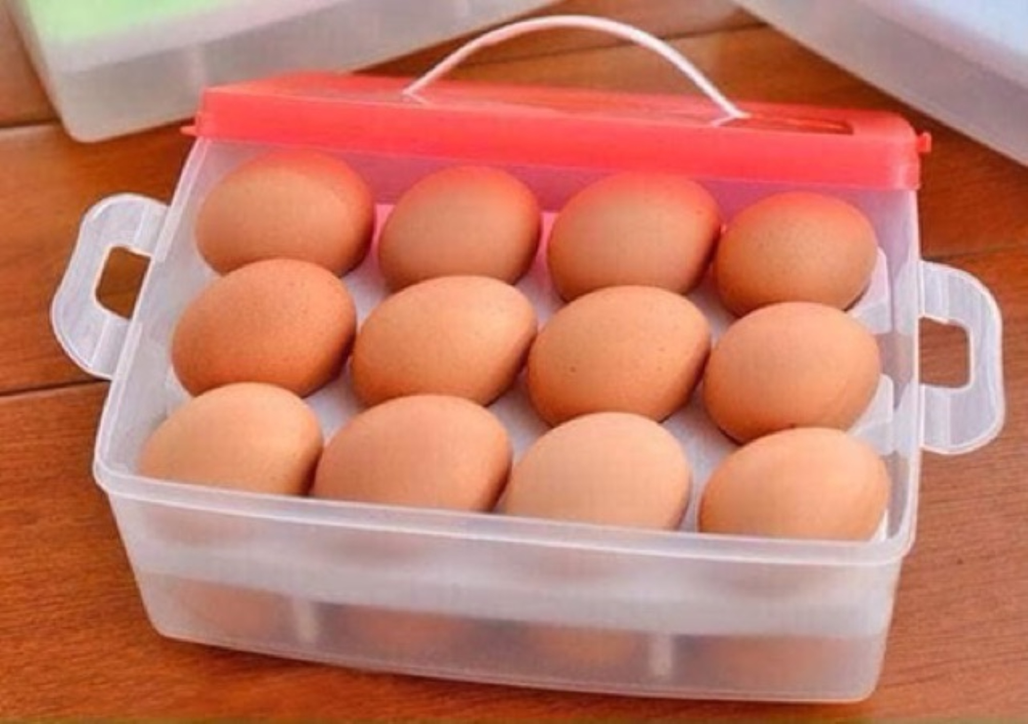 ۩ HỘP ĐỰNG TRỨNG 2 TẦNG 24 QUẢ
