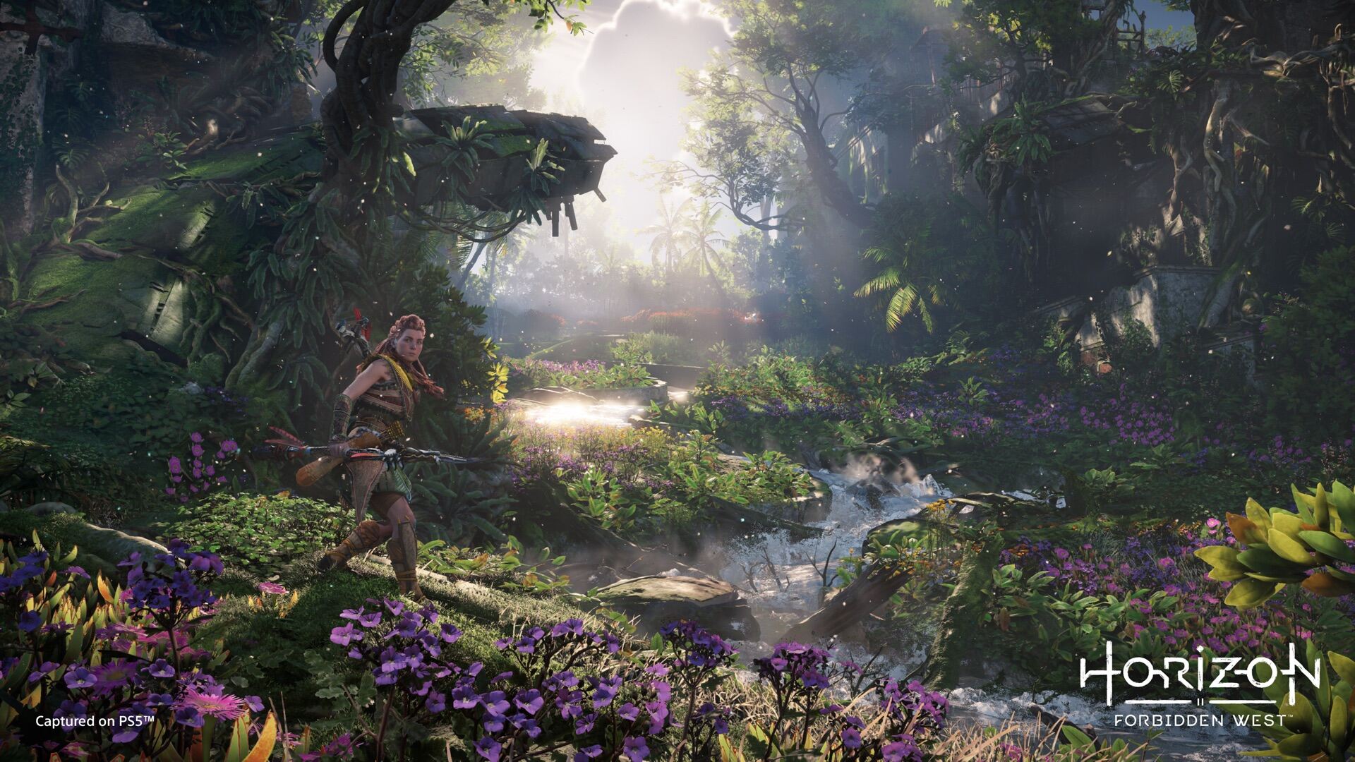 Đĩa chơi game PS4: Horizon Forbidden West