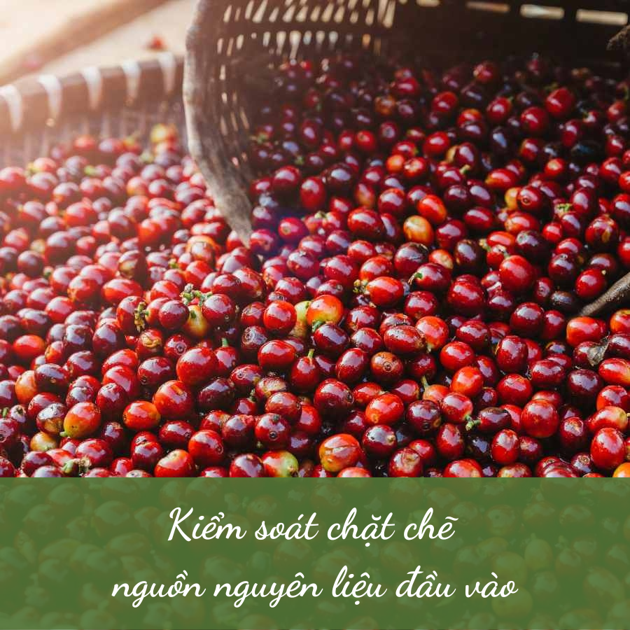 Cà Phê Espresso  (Blend Robusta Honey & Arabica) Nguyên Chất Rang Mộc 100% Cafe Pha Máy 250g